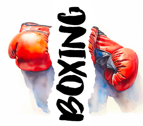 Boxing 20 oz vinyl wrap (233)