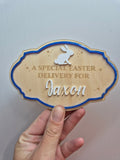 Wooden Special Delivery Easter Plaque (MUST ADD NAME TO NOTES) Choose boarder colour