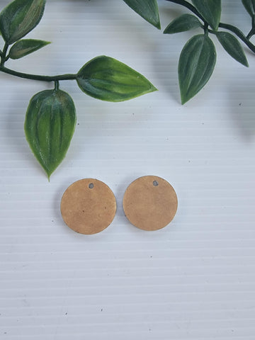 Acrylic Earrings Small Circle