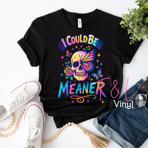 812 DTF- I could be meaner adult print