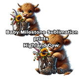 1182 Highland Cow Milestone Sublimation (Perfect for our acrylic Milestone disc 12cm)