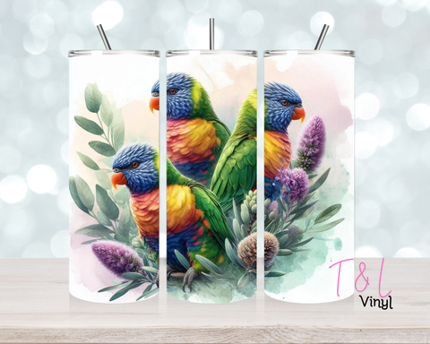 1554 Rainbow Lorikeet 20oz Sublimation wrap