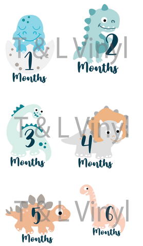 915 Dinosaur Milestone Sublimation to fit our balloon Acrylic milestone discs