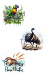 1011 Australian Animal Milestone Disc Sublimation prints