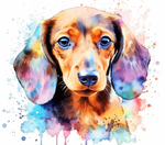 Dachshund water colours 20 oz Sublimation wrap (229)