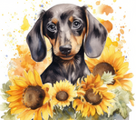 Dachshund and Sunflowers 20 oz vinyl wrap (228)