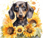 Dachshund and Sunflowers 20 oz Sublimation wrap (228)