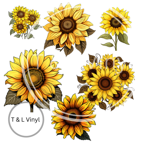 489 DTF Sunflower 6 prints