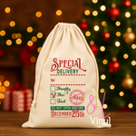 917 DTF Special Delivery  Santa Sack  -  Print