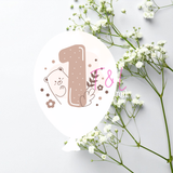 930 Baby Milestone Sublimation to fit our balloon Acrylic milestone discs