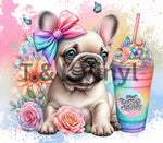 Rainbow Frenchie 20 oz Sublimation wrap (349)