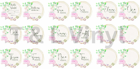 Bunny Milestone Sublimation Sheet 69 (Perfect for our acrylic Milestone disc 12cm)